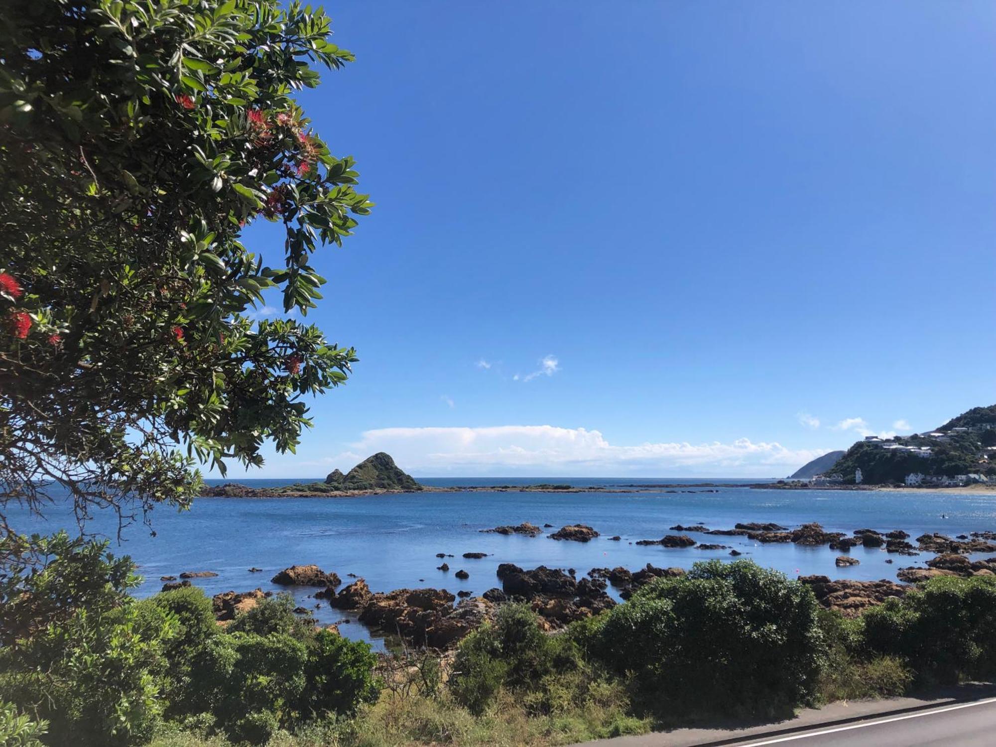 Seafront Haven In Island Bay With Deck, Outdoor Bath, And Parking Apartment Wellington Exterior photo